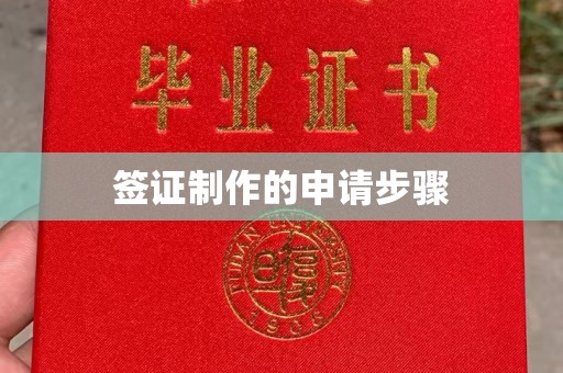 星子签证制作的申请步骤