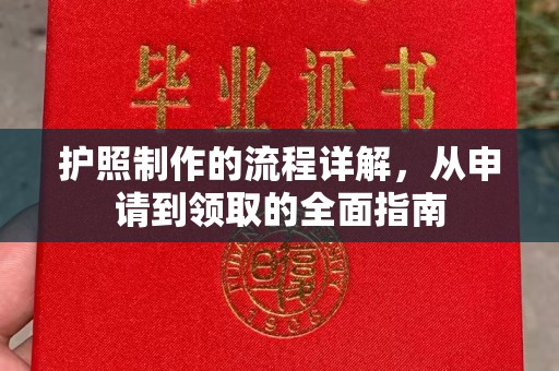 星子护照制作的流程详解，从申请到领取的全面指南