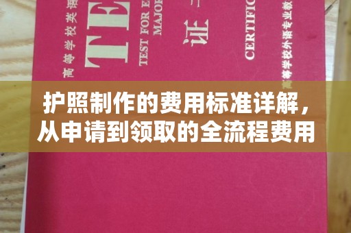 星子护照制作的费用标准详解，从申请到领取的全流程费用指南