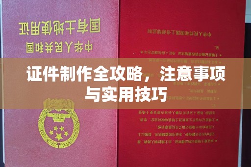 星子证件制作全攻略，注意事项与实用技巧