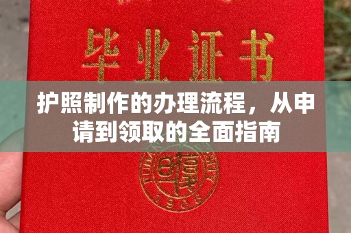 星子护照制作的办理流程，从申请到领取的全面指南