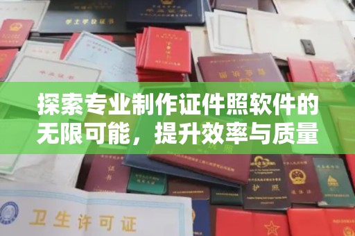 星子探索专业制作证件照软件的无限可能，提升效率与质量