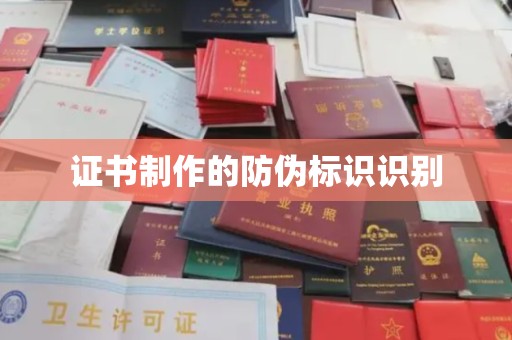 星子证书制作的防伪标识识别