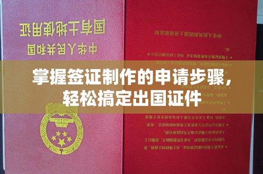 星子掌握签证制作的申请步骤，轻松搞定出国证件