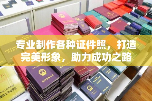 星子专业制作各种证件照，打造完美形象，助力成功之路