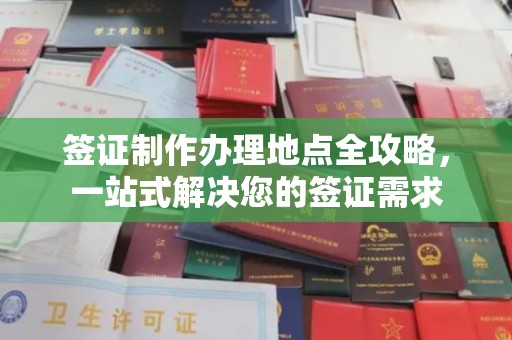 星子签证制作办理地点全攻略，一站式解决您的签证需求