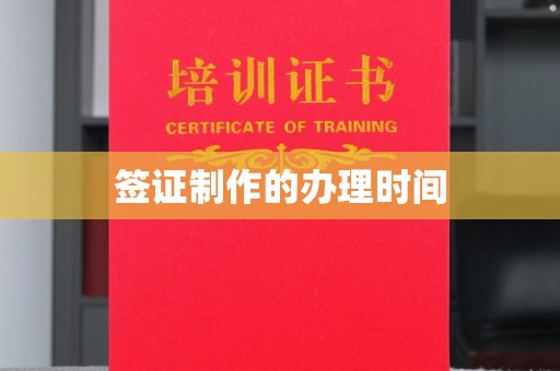 星子签证制作的办理时间