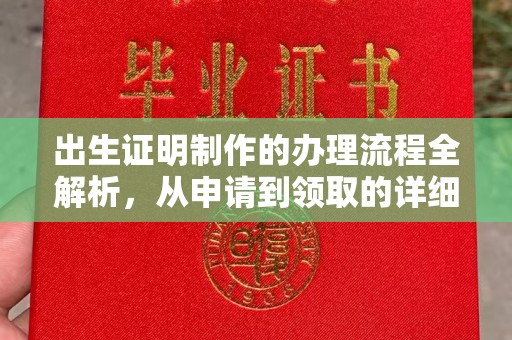 星子出生证明制作的办理流程全解析，从申请到领取的详细指南