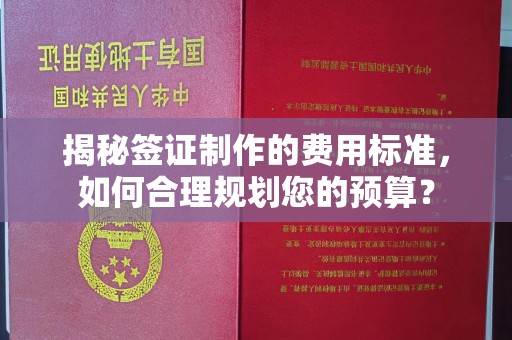 星子揭秘签证制作的费用标准，如何合理规划您的预算？
