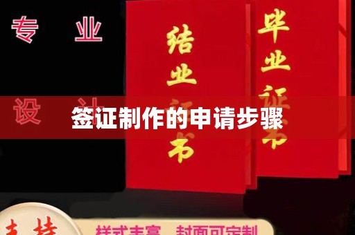 星子签证制作的申请步骤
