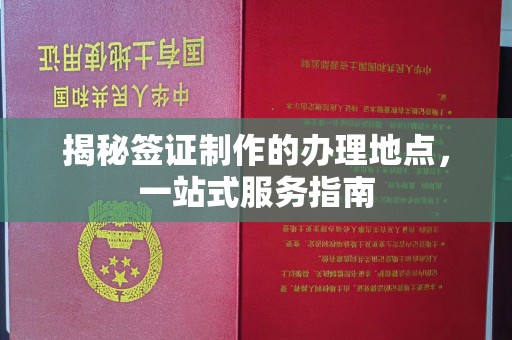 星子揭秘签证制作的办理地点，一站式服务指南