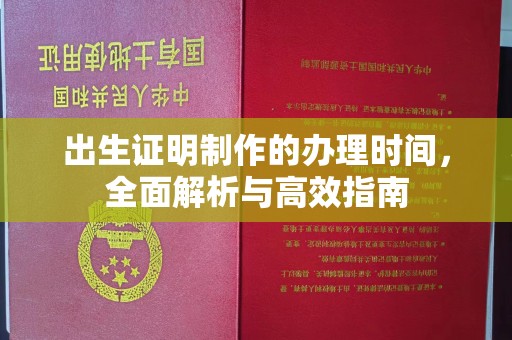 星子出生证明制作的办理时间，全面解析与高效指南