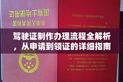 星子驾驶证制作办理流程全解析，从申请到领证的详细指南