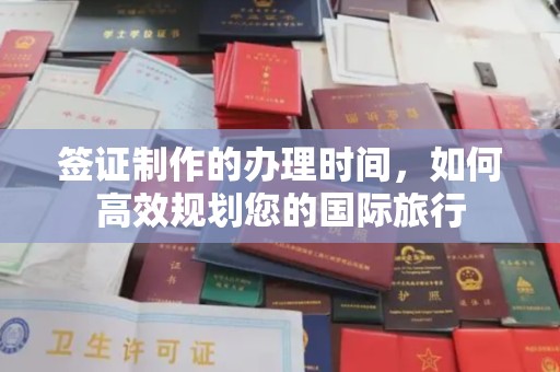 星子签证制作的办理时间，如何高效规划您的国际旅行